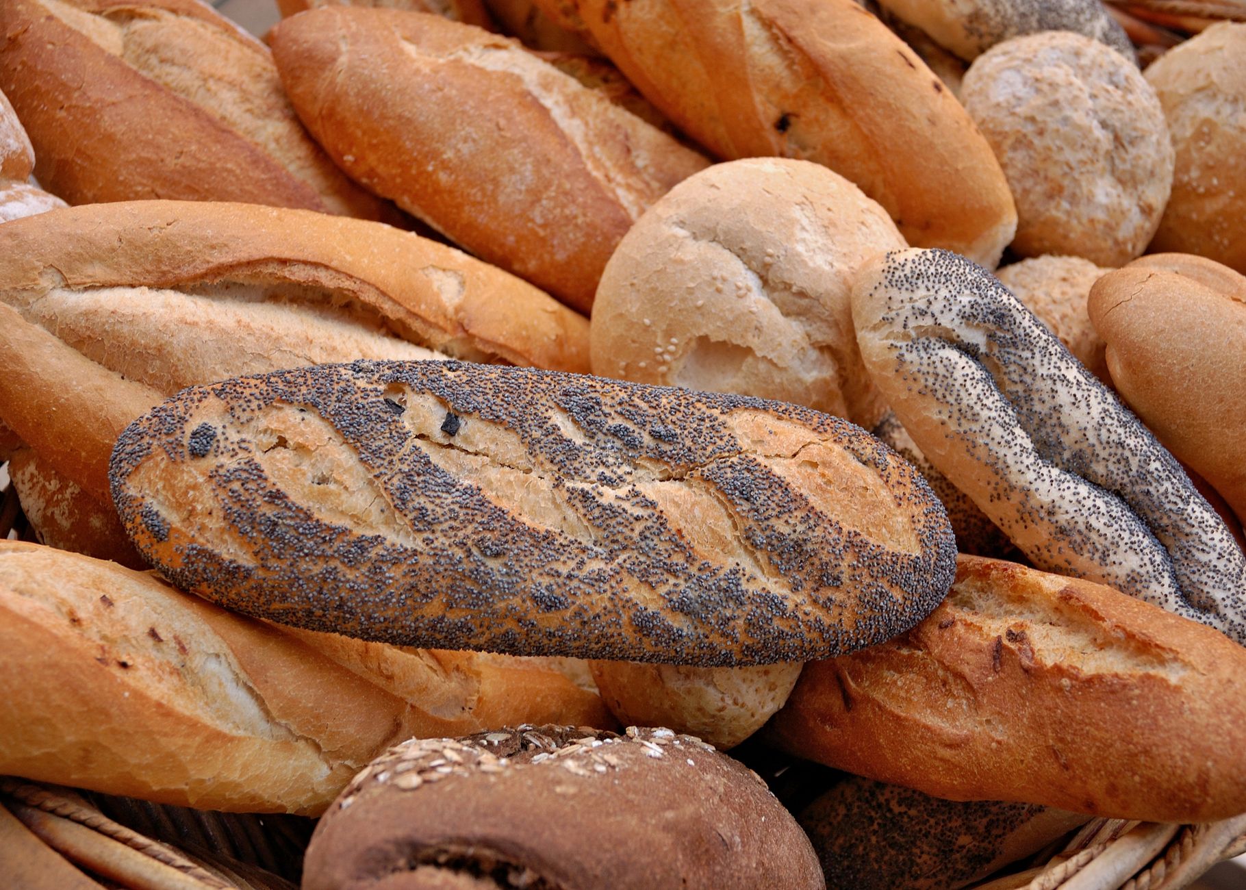 Fresh Baking